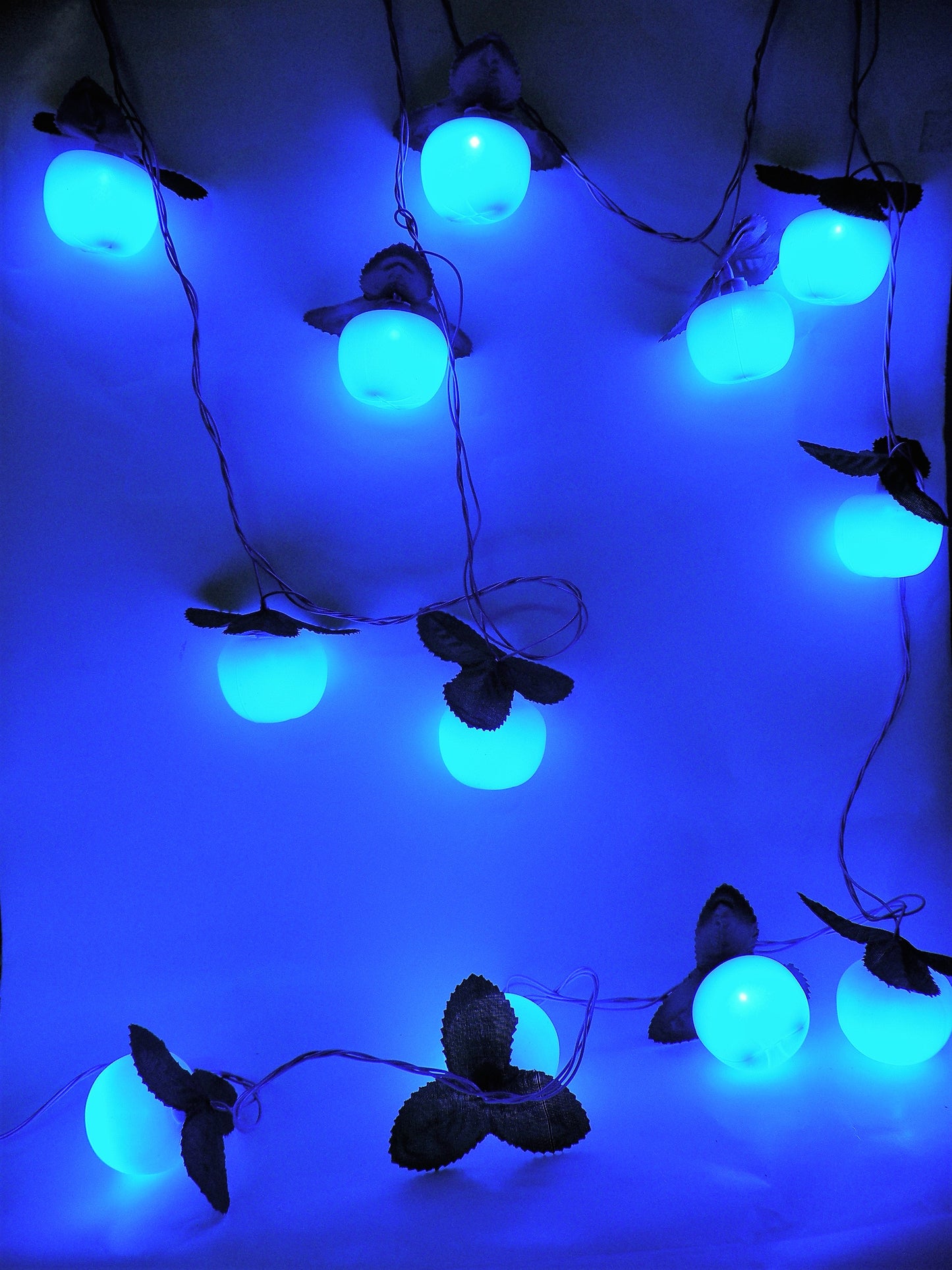 Tomato Fruit String Light (4 Meters)