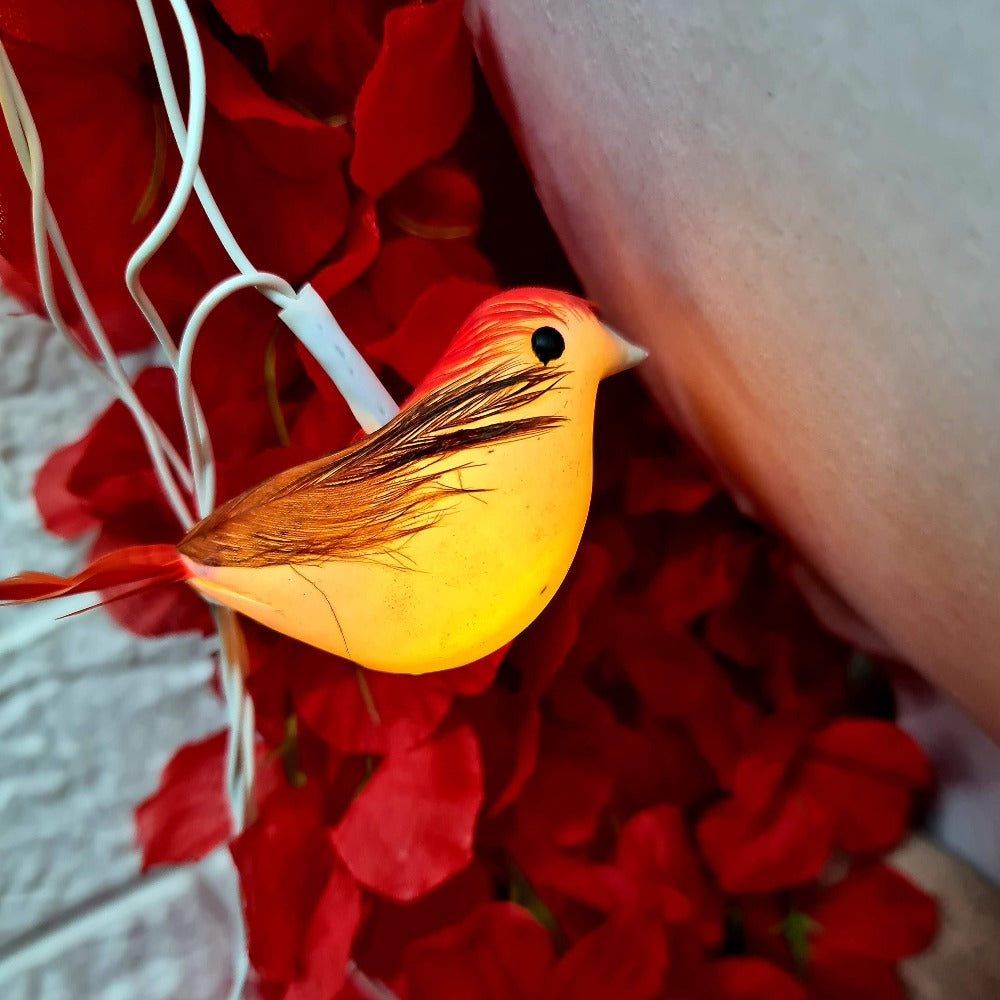 Bird String Light - 4 Meter