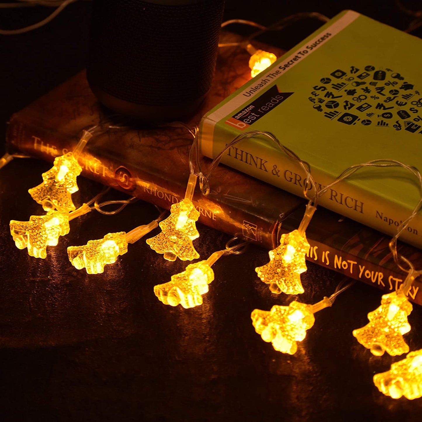 Small Wonder String Light (4 Meters, Gold)