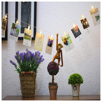 Photo Clip String Light 20 Lamps (Warm White)