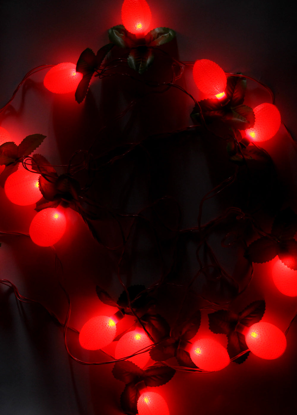 Lychee Fruit String Light (4 Meters)