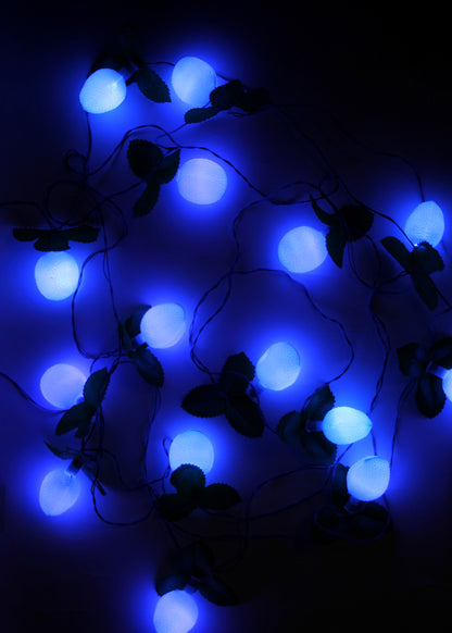 Lychee Fruit String Light (4 Meters)