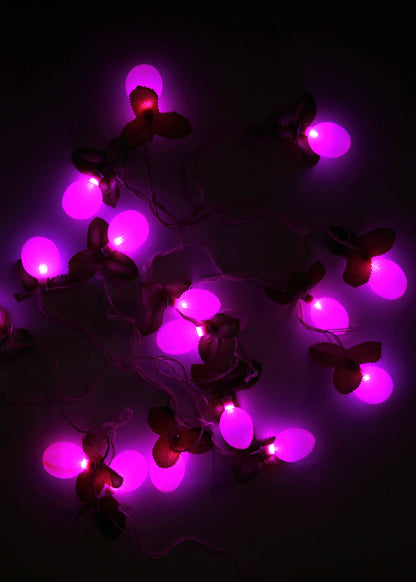 Lychee Fruit String Light (4 Meters)