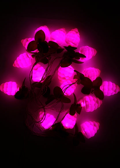 Grapes Fruit String Light (4 Meters)