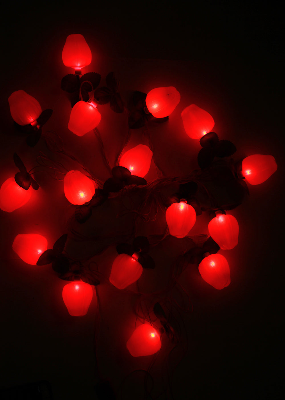 Shimla Mirch Fruit String Light (4 Meters)