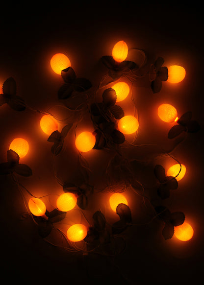 Lychee Fruit String Light (4 Meters)