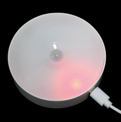 Motion Sensor Bulb USB Rechargeable