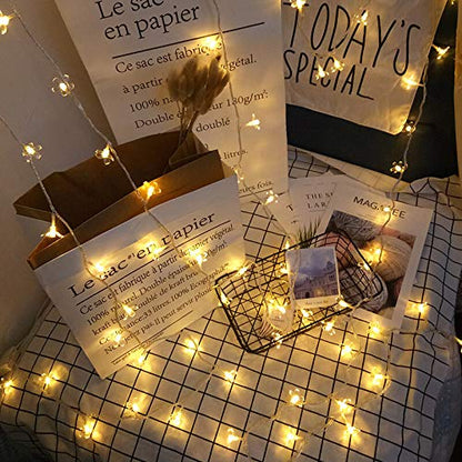 Crystal Flower String Light (Warm White, 4 Meters)