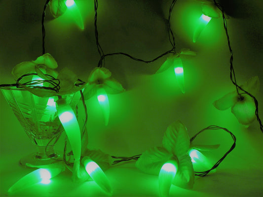 Mirchi Chillies Fruit String Light (4 Meters)